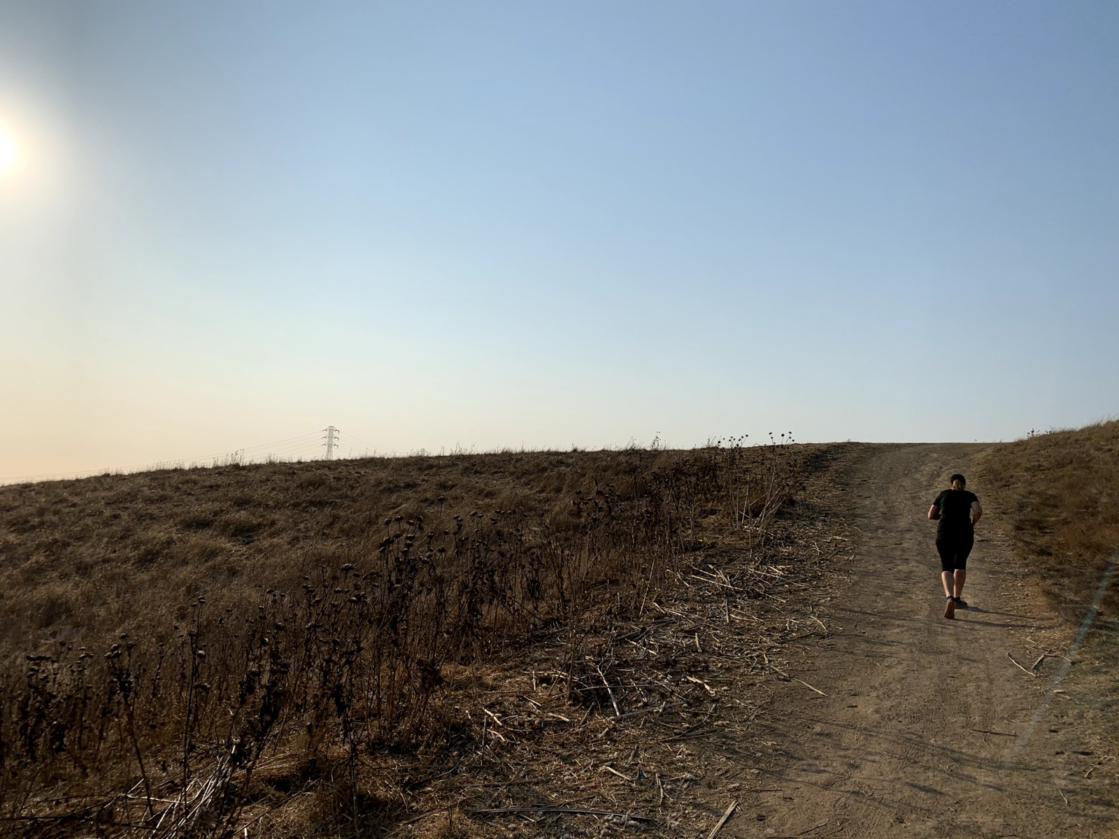 Segment 43, photo 3