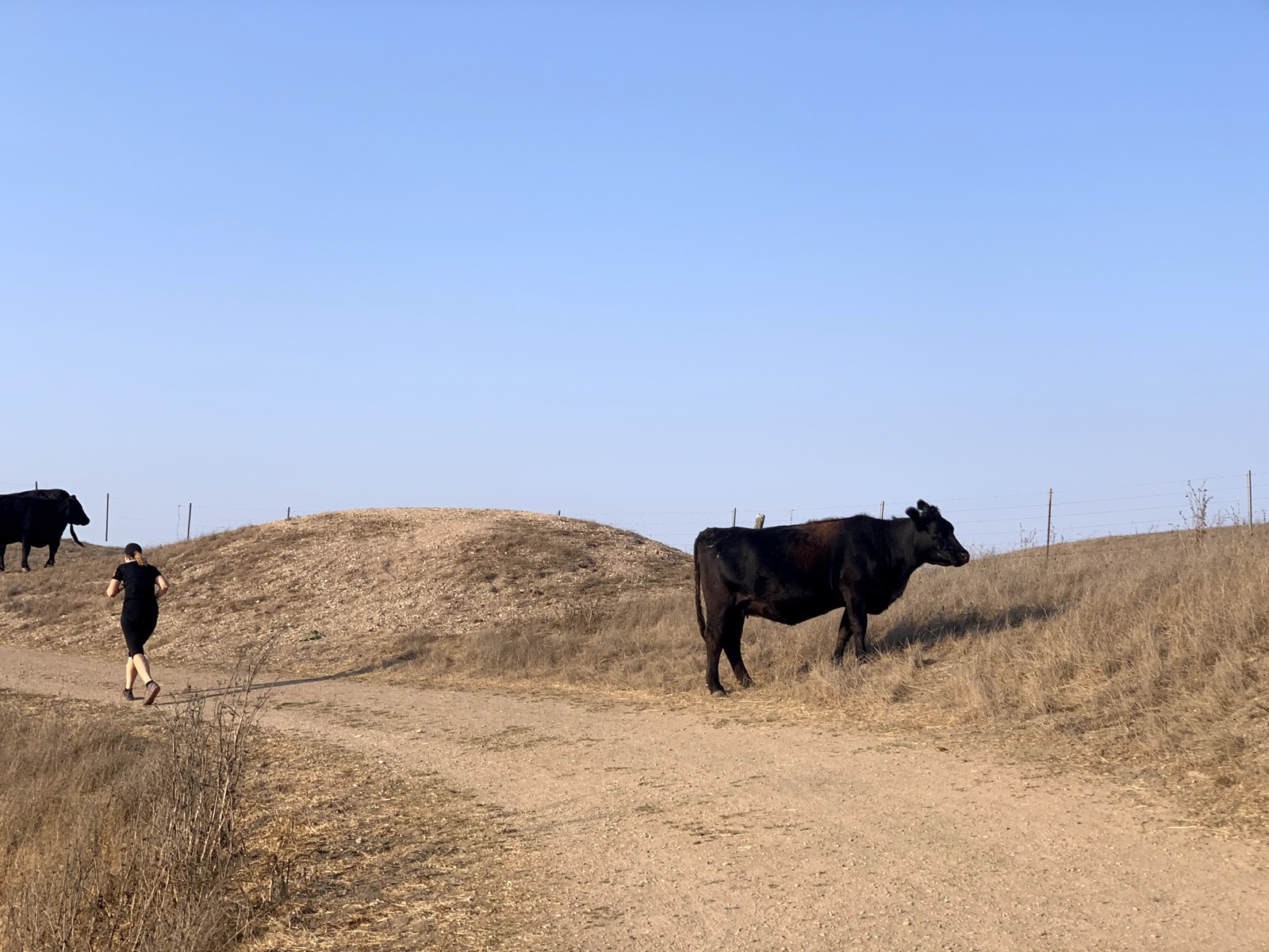Segment 43, photo 7