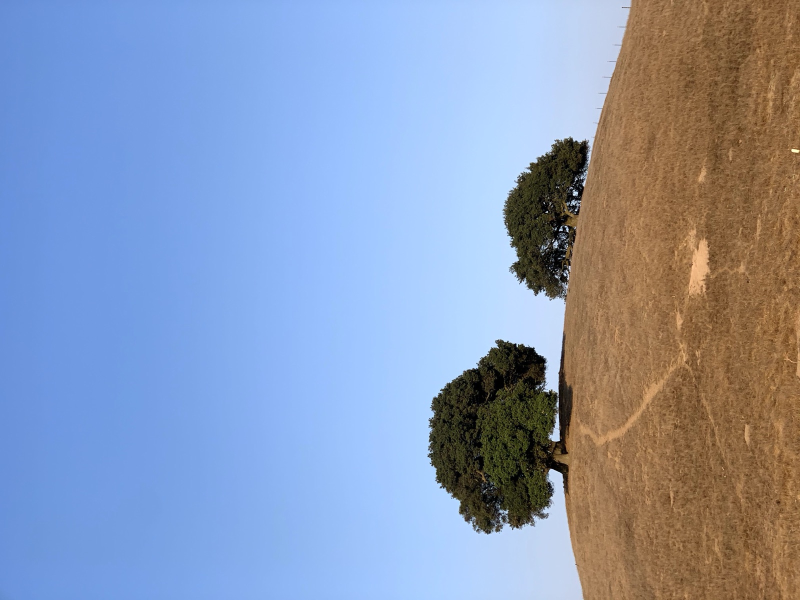 Segment 43, photo 12