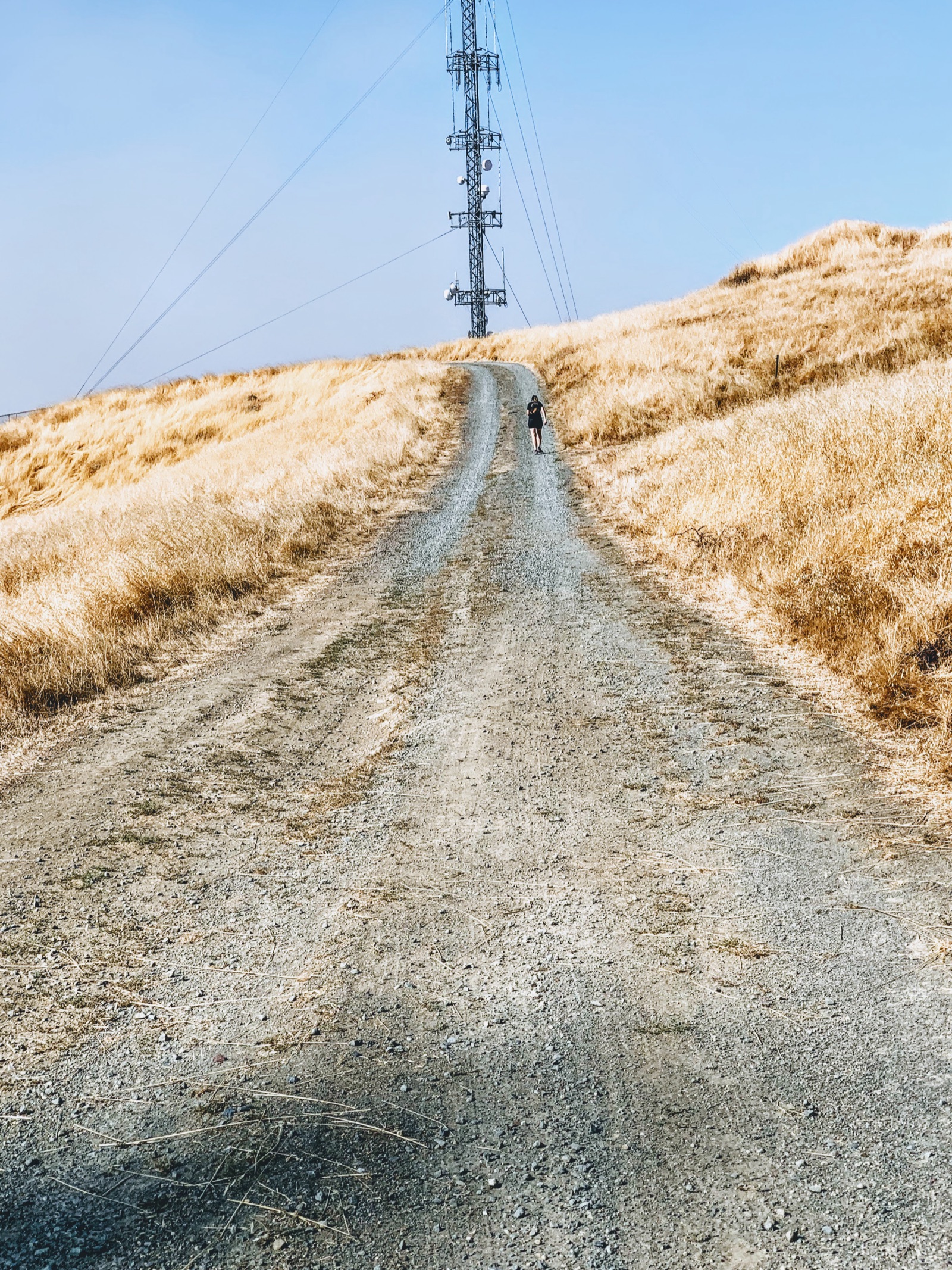 Segment 44, photo 19