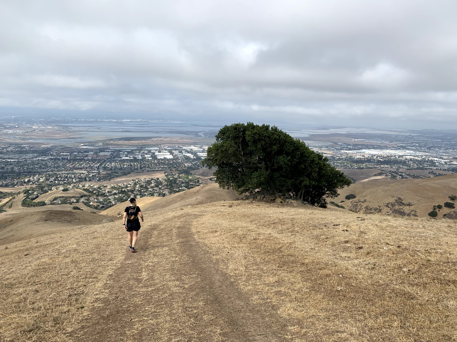 Segment 44, photo 22