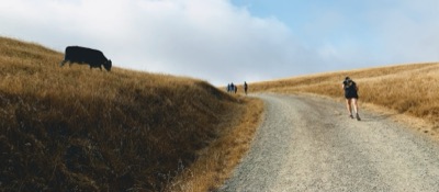 Segment 44 photo 7