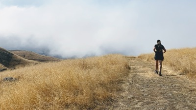 Segment 44 photo 21