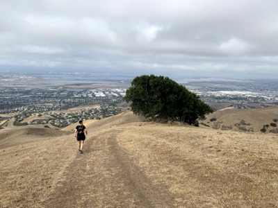 Segment 44 photo 22