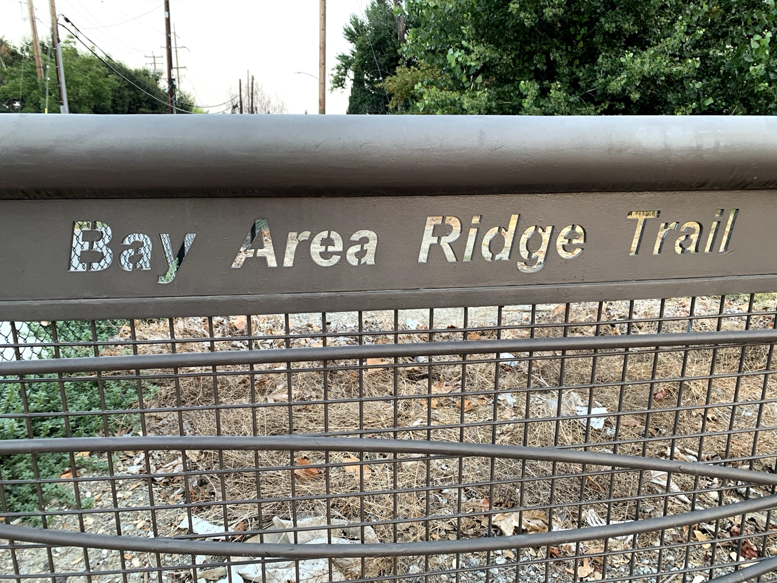 Segment 45, photo 3