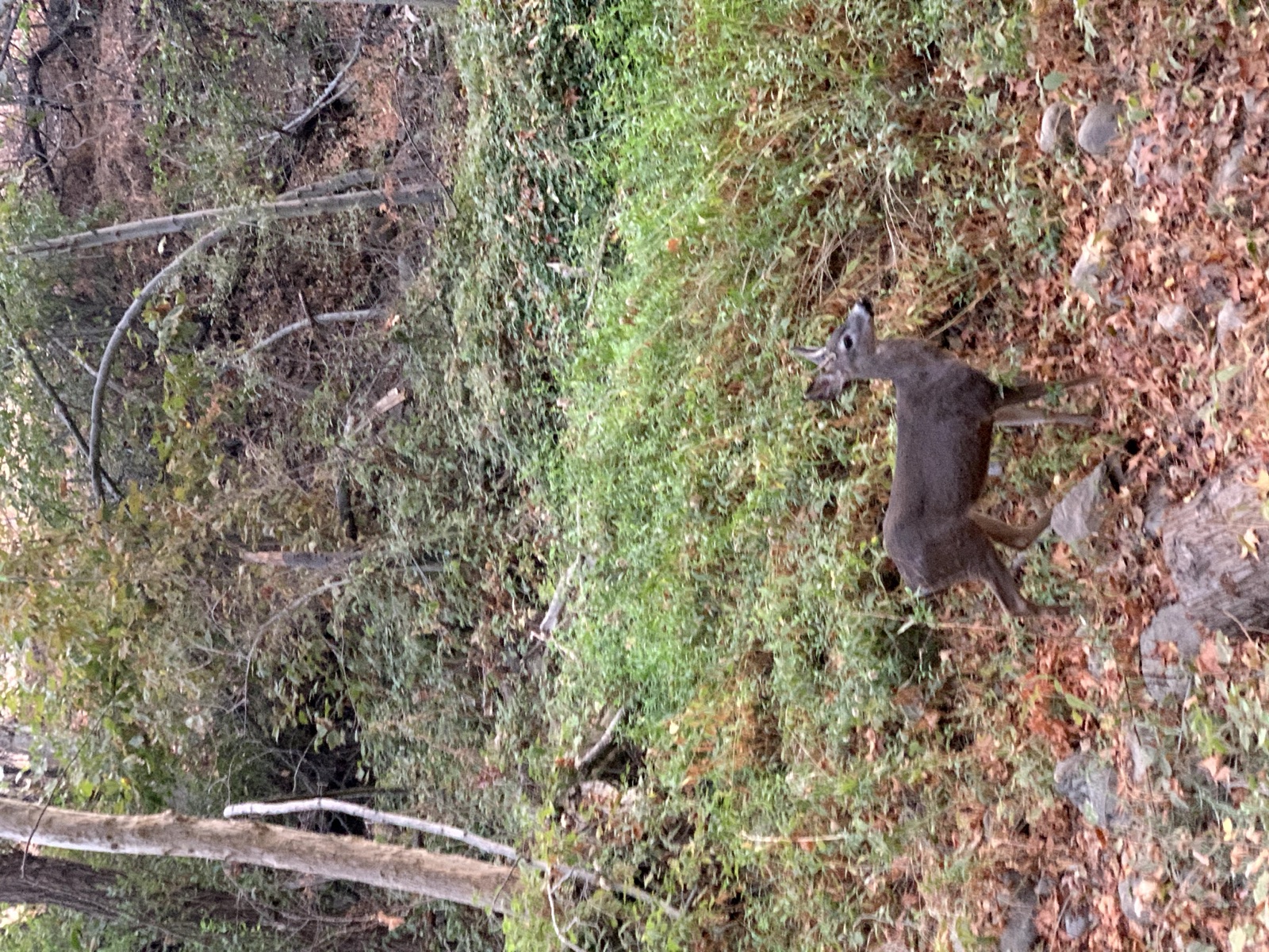 Segment 46, photo 4