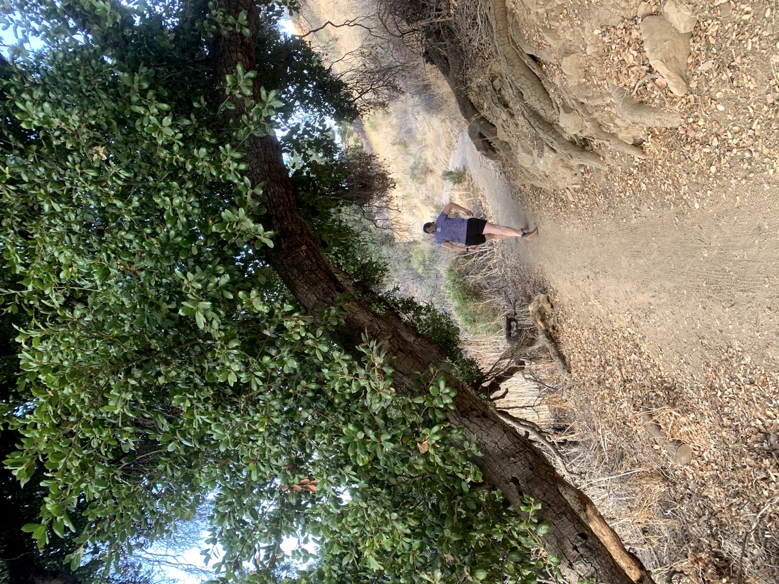Segment 46, photo 8