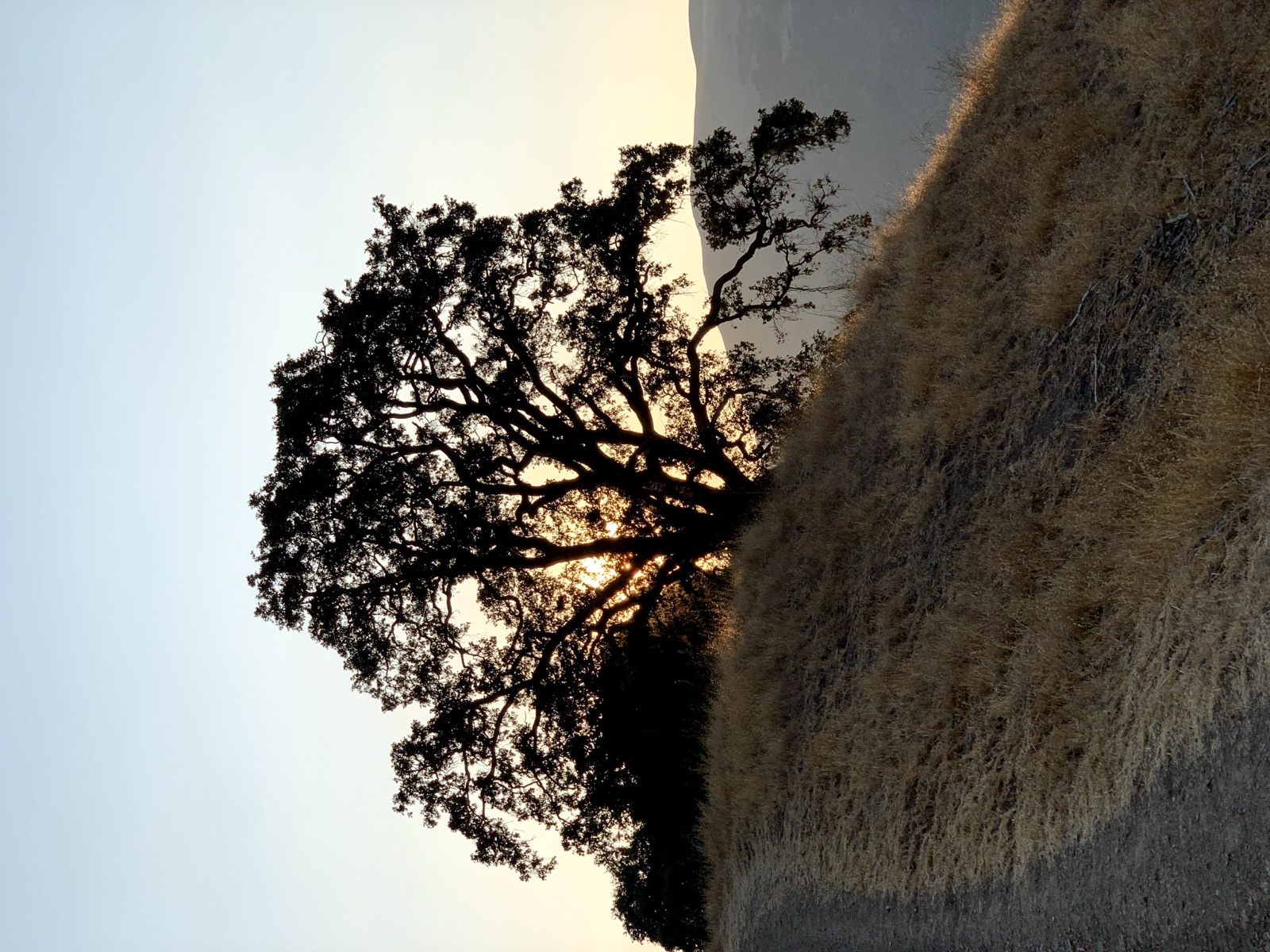 Segment 46, photo 14