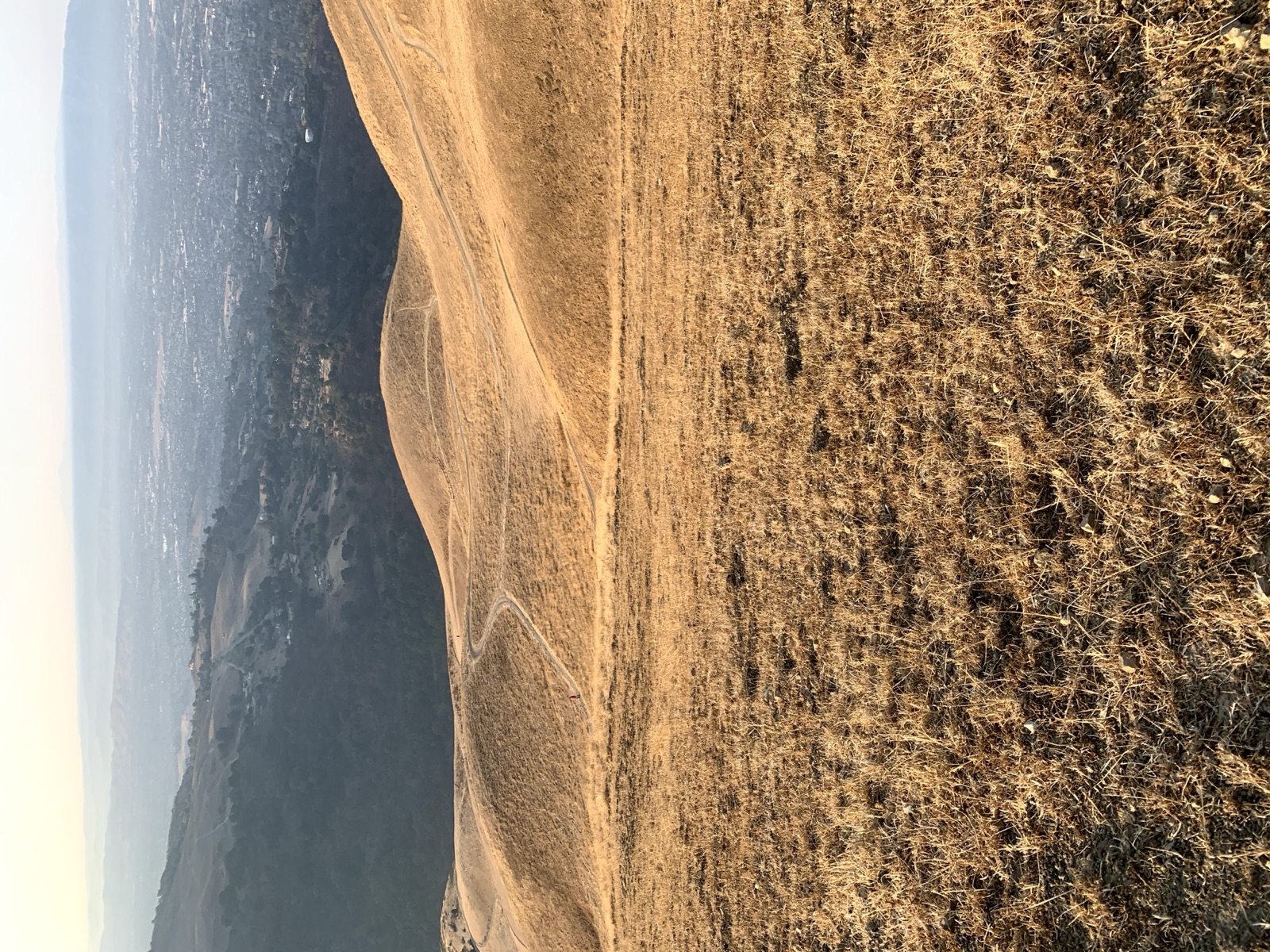 Segment 46, photo 15