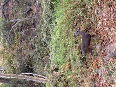 Segment 46 photo 4