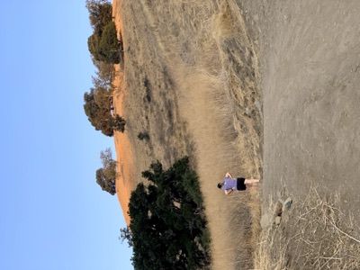 Segment 46 photo 6