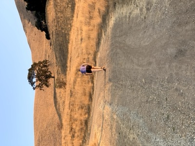 Segment 46 photo 12