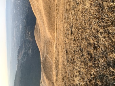 Segment 46 photo 15