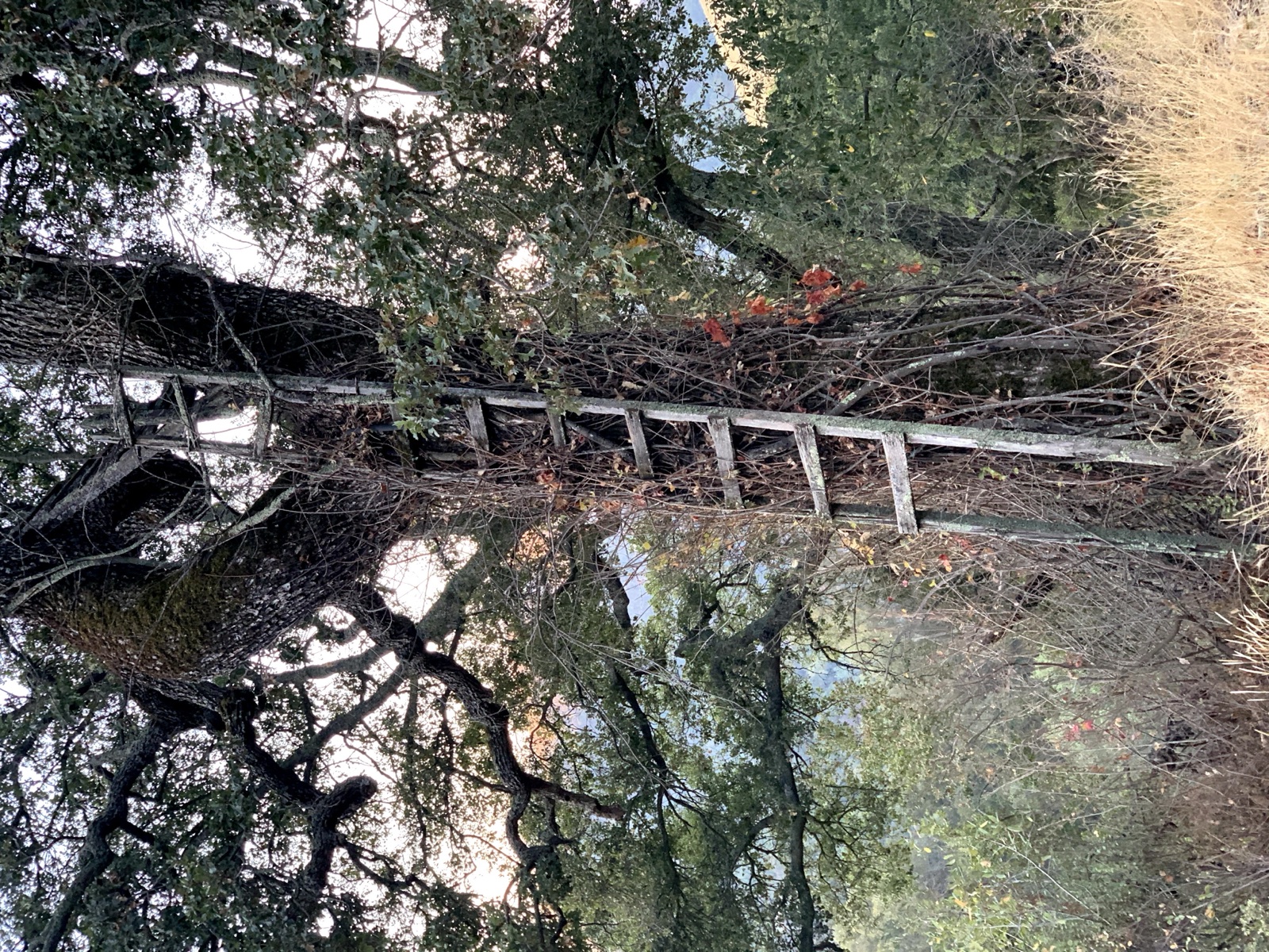 Segment 47, photo 11