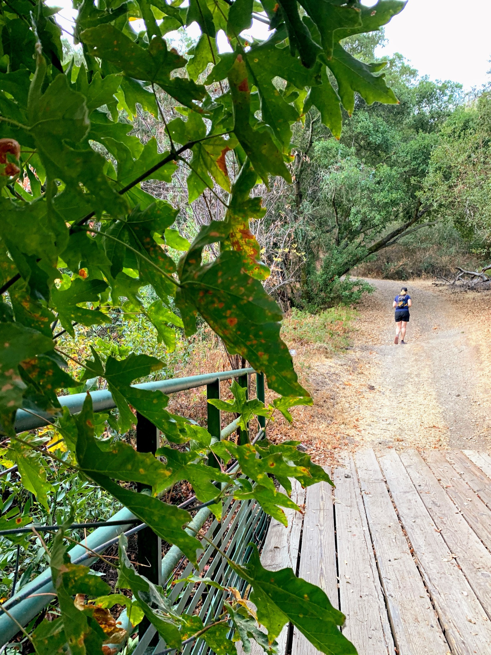 Segment 47, photo 16