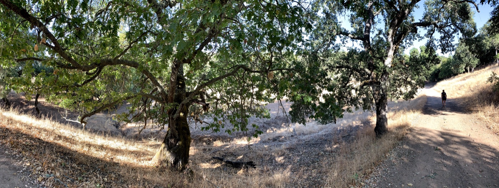 Segment 48, photo 9