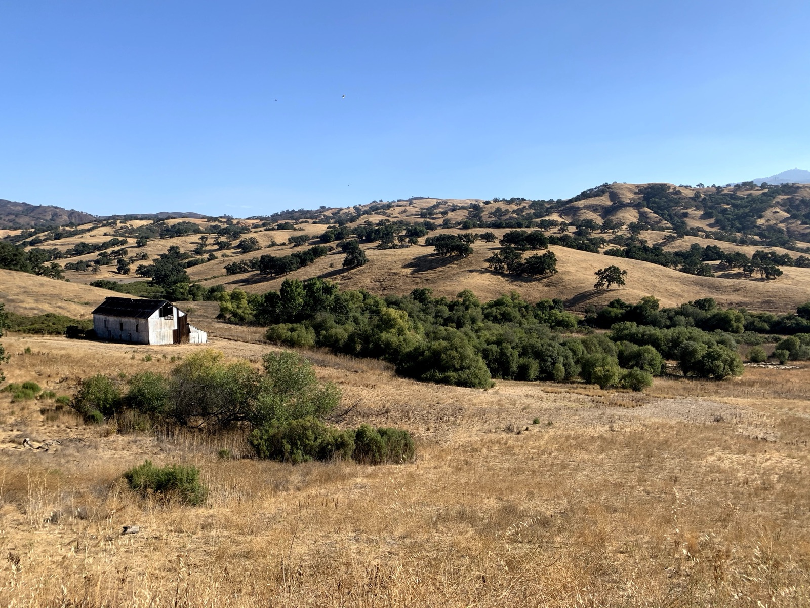 Segment 48, photo 10