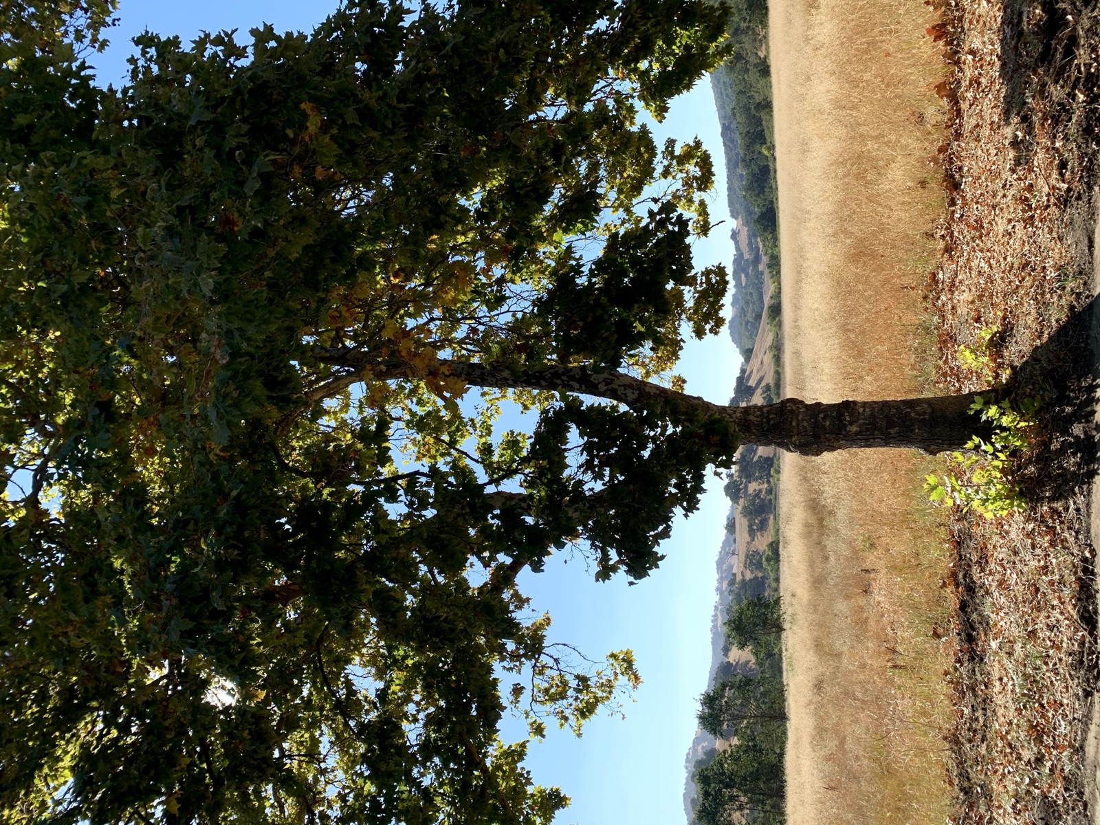 Segment 48, photo 11