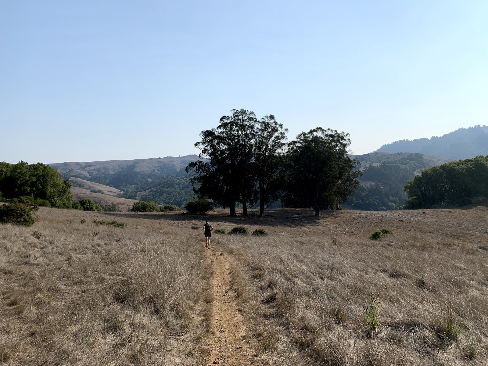 Segment 5, photo 8