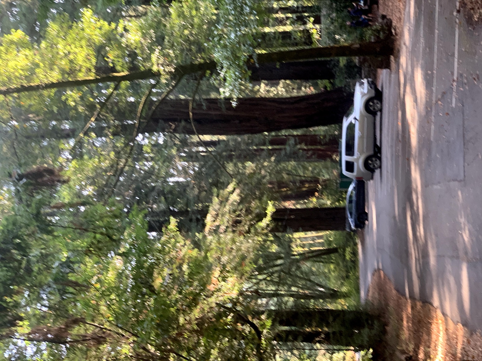 Segment 5, photo 11