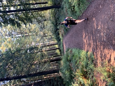 Segment 5 photo 3