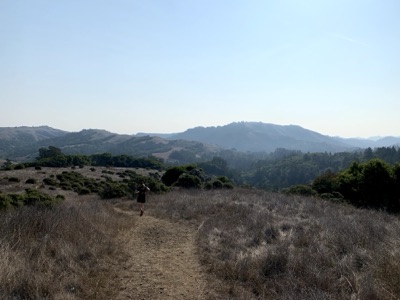 Segment 5 photo 7
