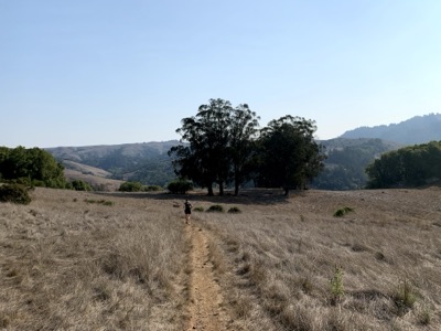 Segment 5 photo 8