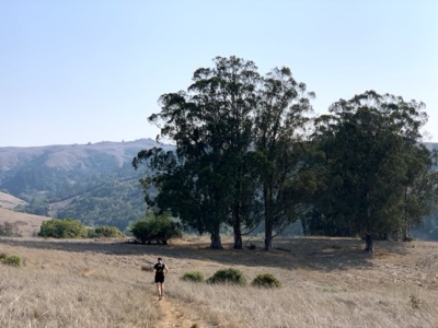Segment 5 photo 9