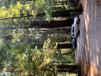 Segment 5 photo 11