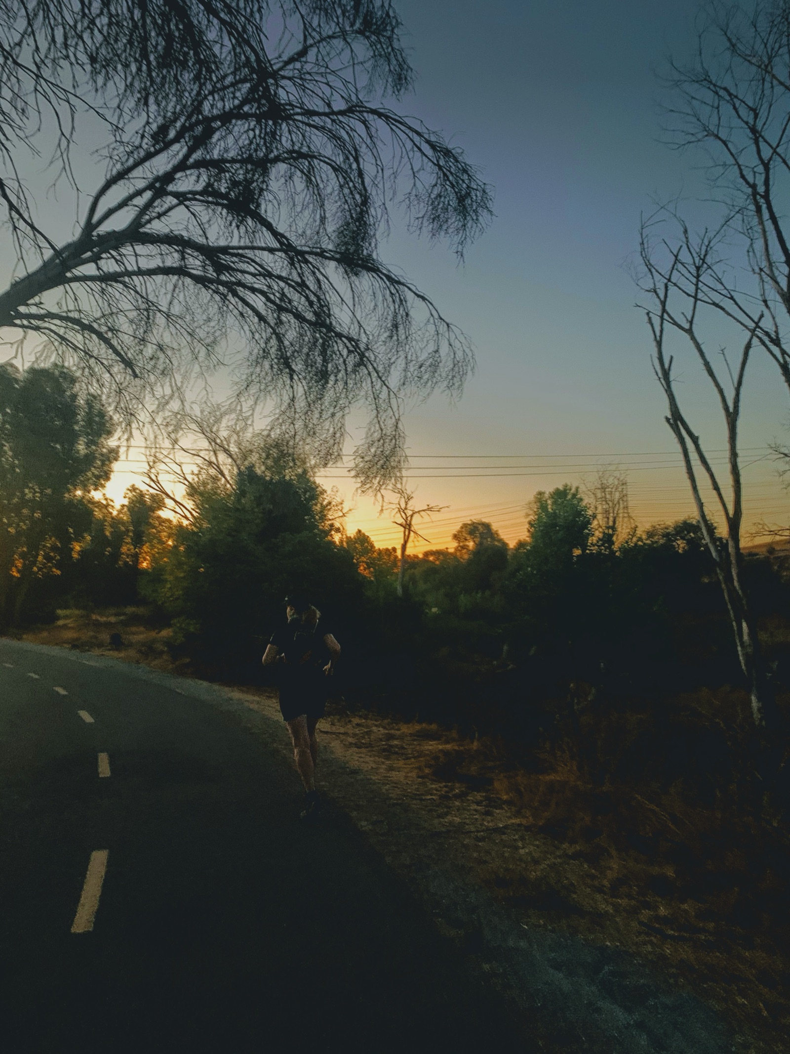 Segment 50, photo 1