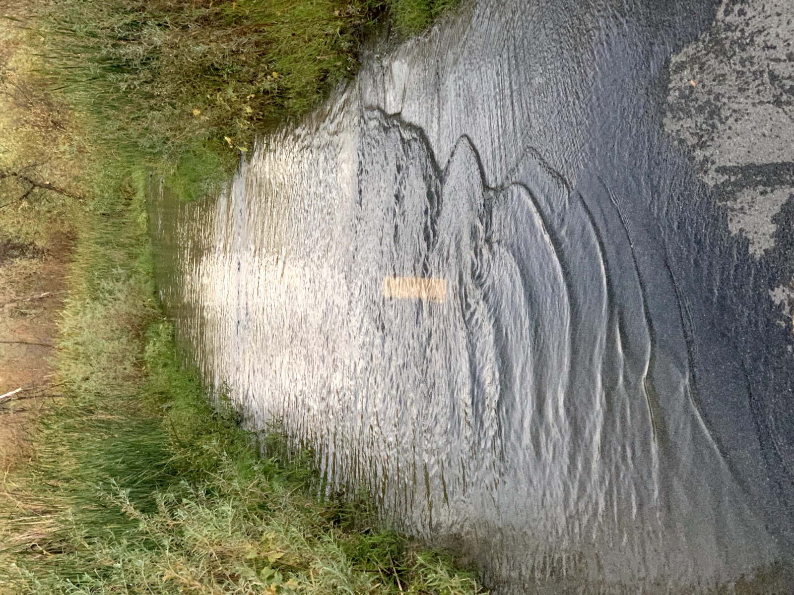 Segment 50, photo 6