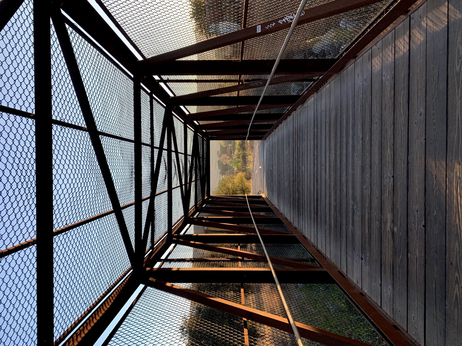Segment 50, photo 11