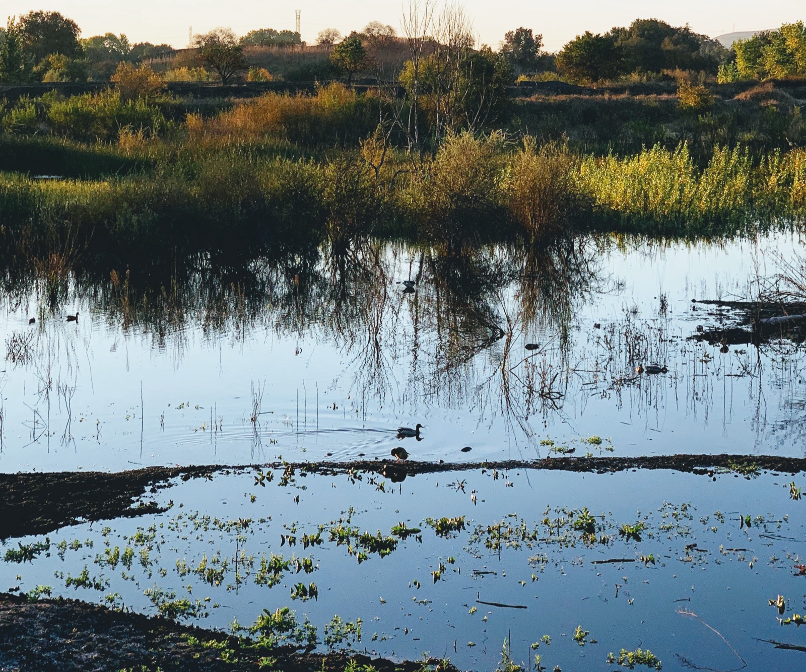 Segment 50, photo 12