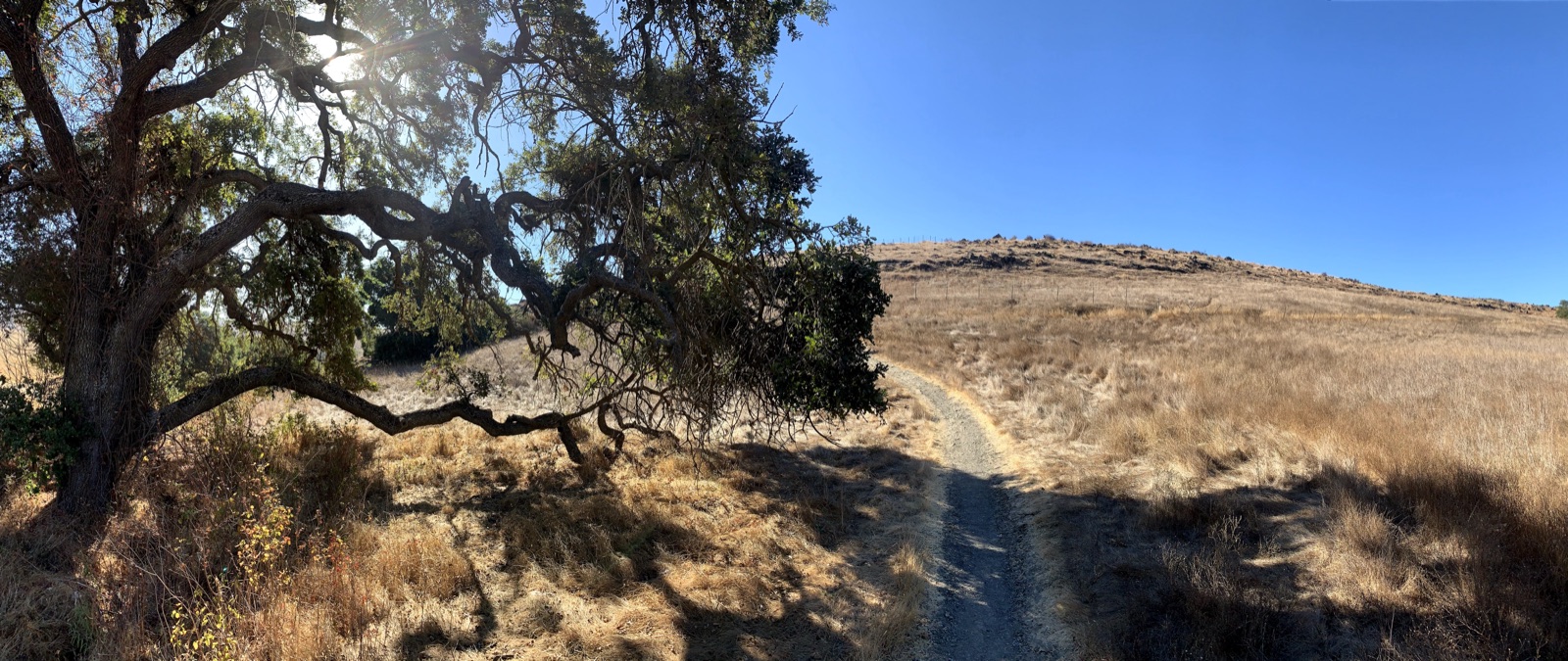 Segment 53, photo 7
