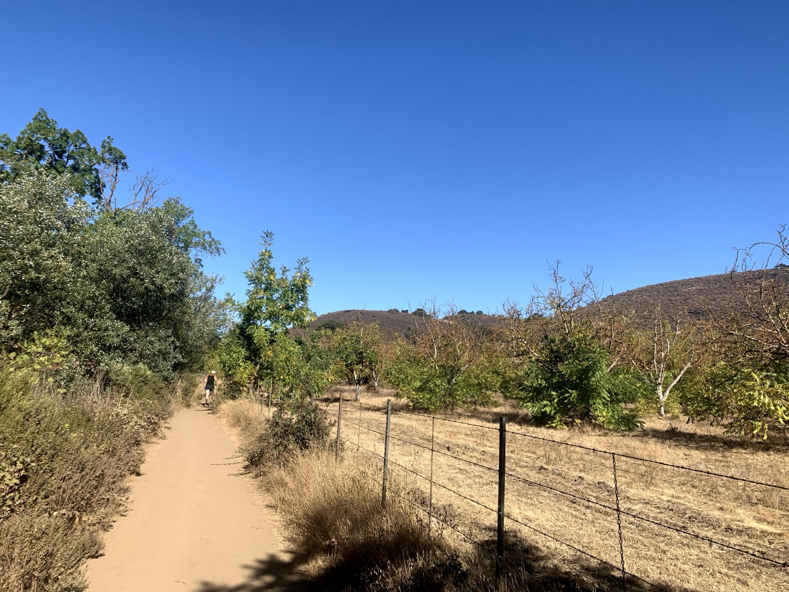 Segment 53, photo 10