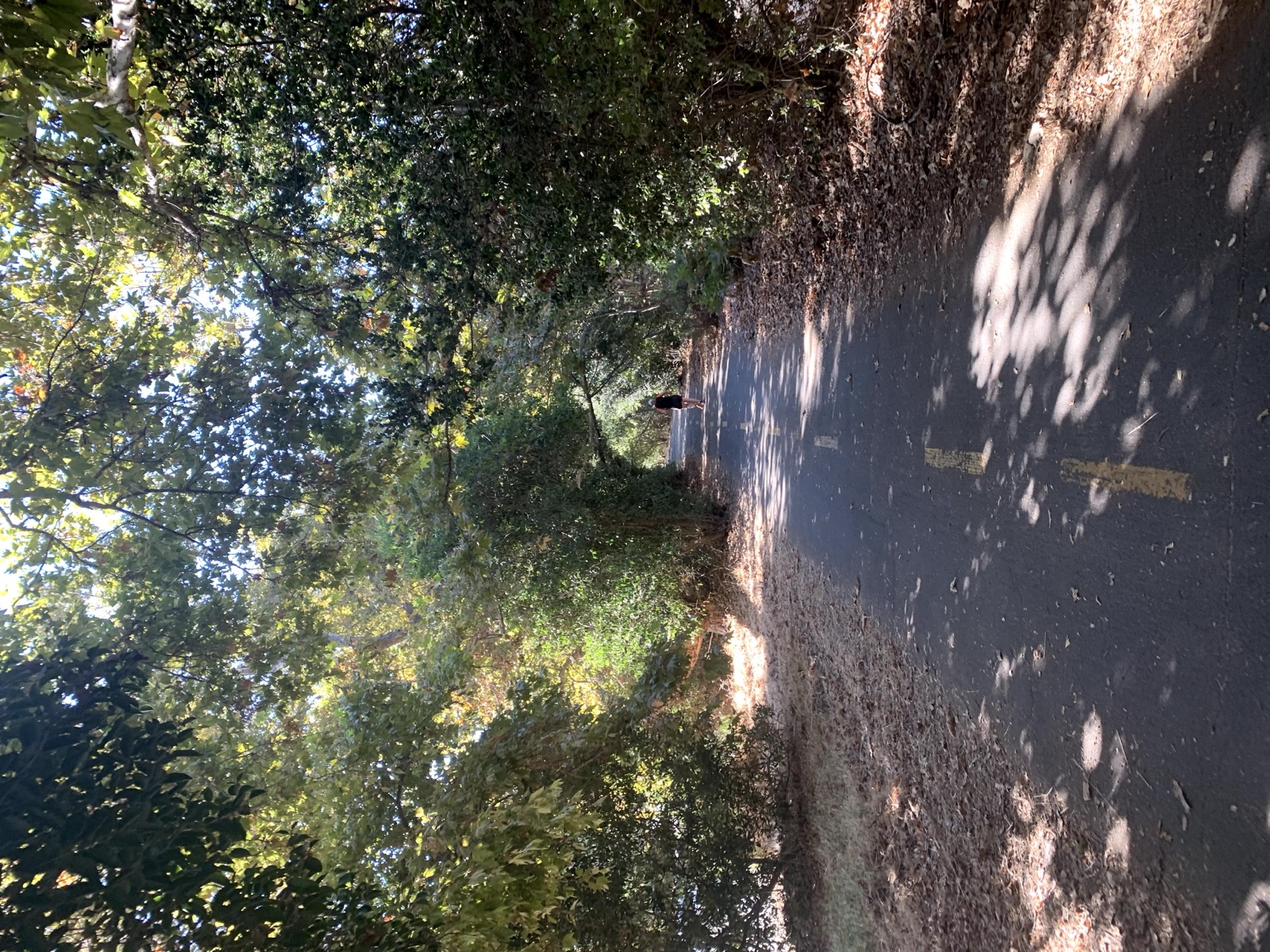 Segment 53, photo 11
