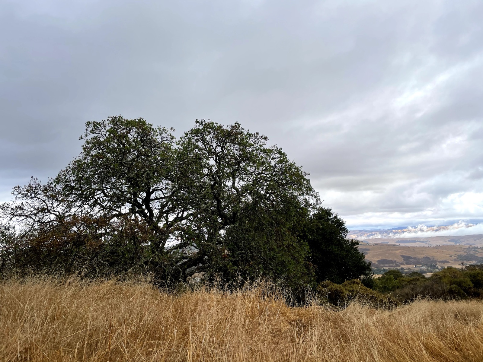 Segment 54, photo 1