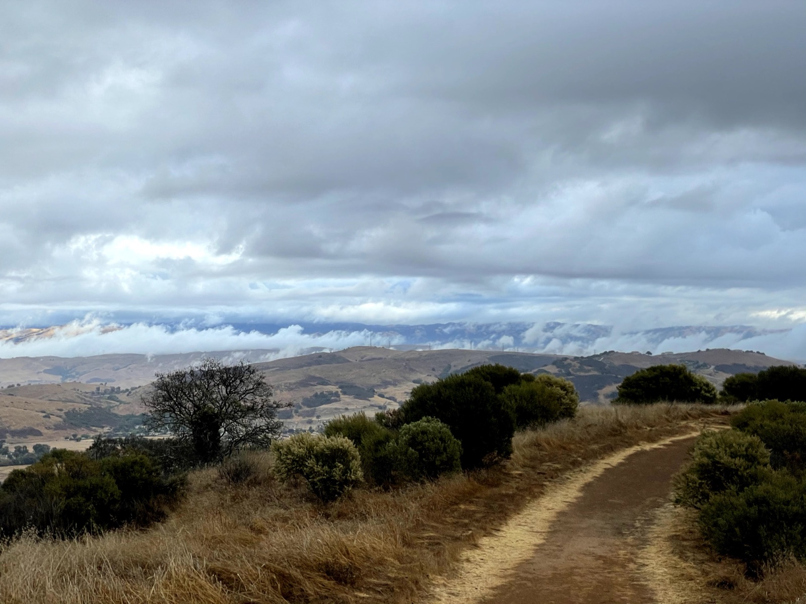 Segment 54, photo 2