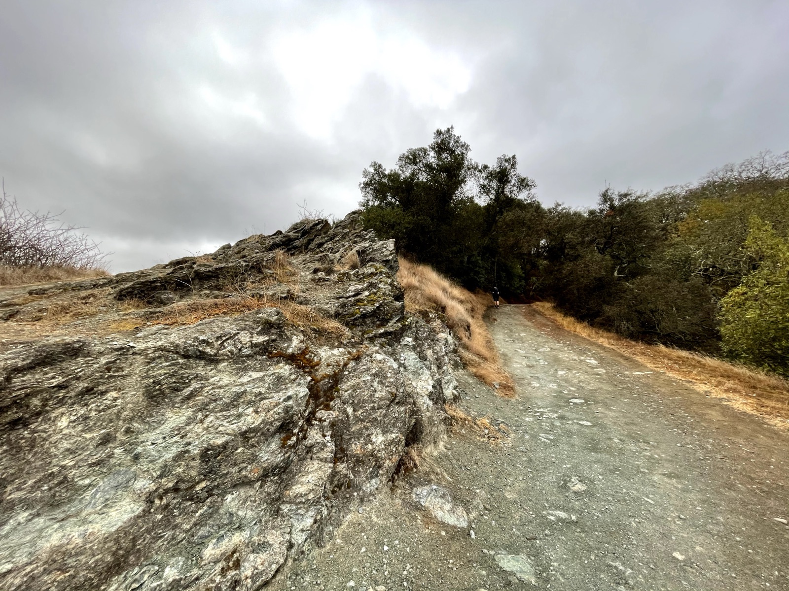 Segment 54, photo 3