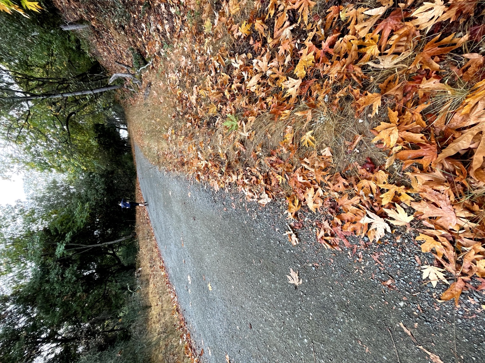 Segment 54, photo 5