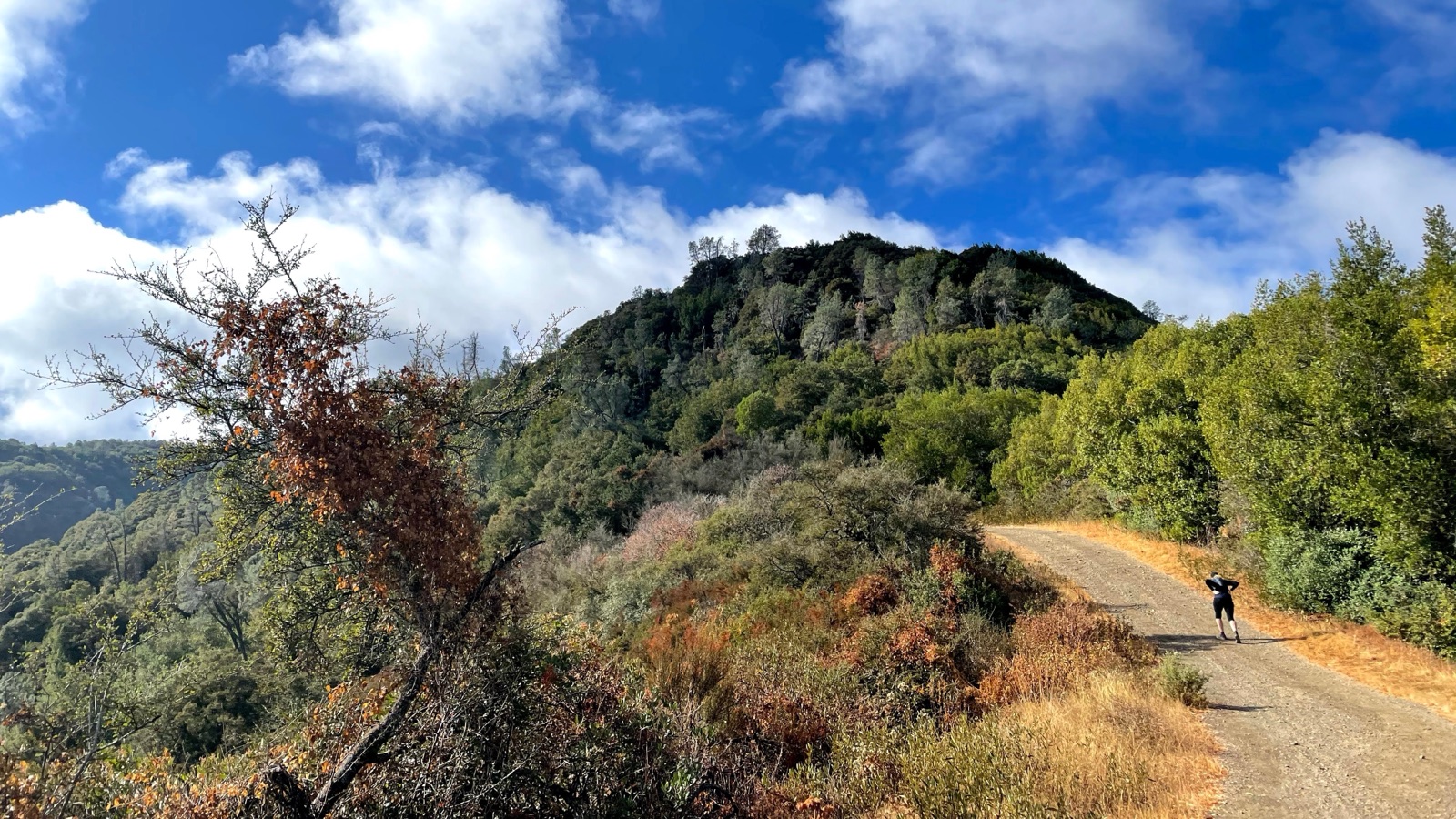 Segment 55, photo 9