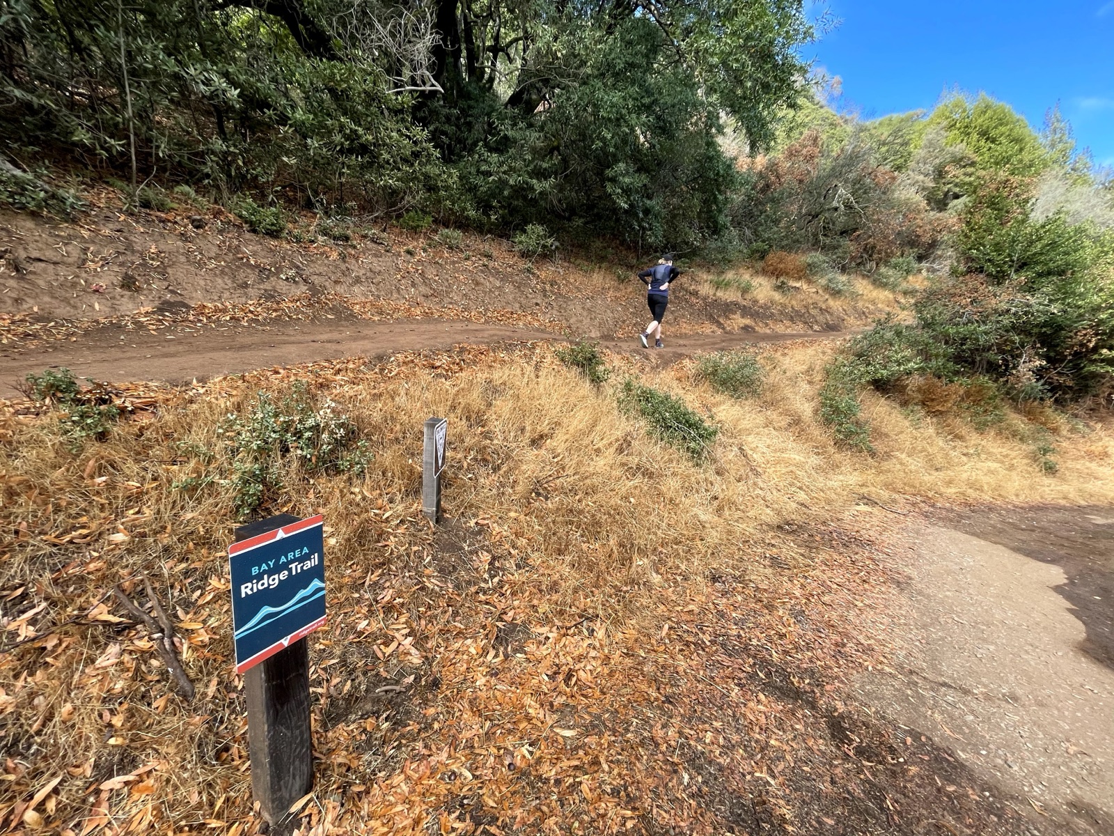 Segment 55, photo 12