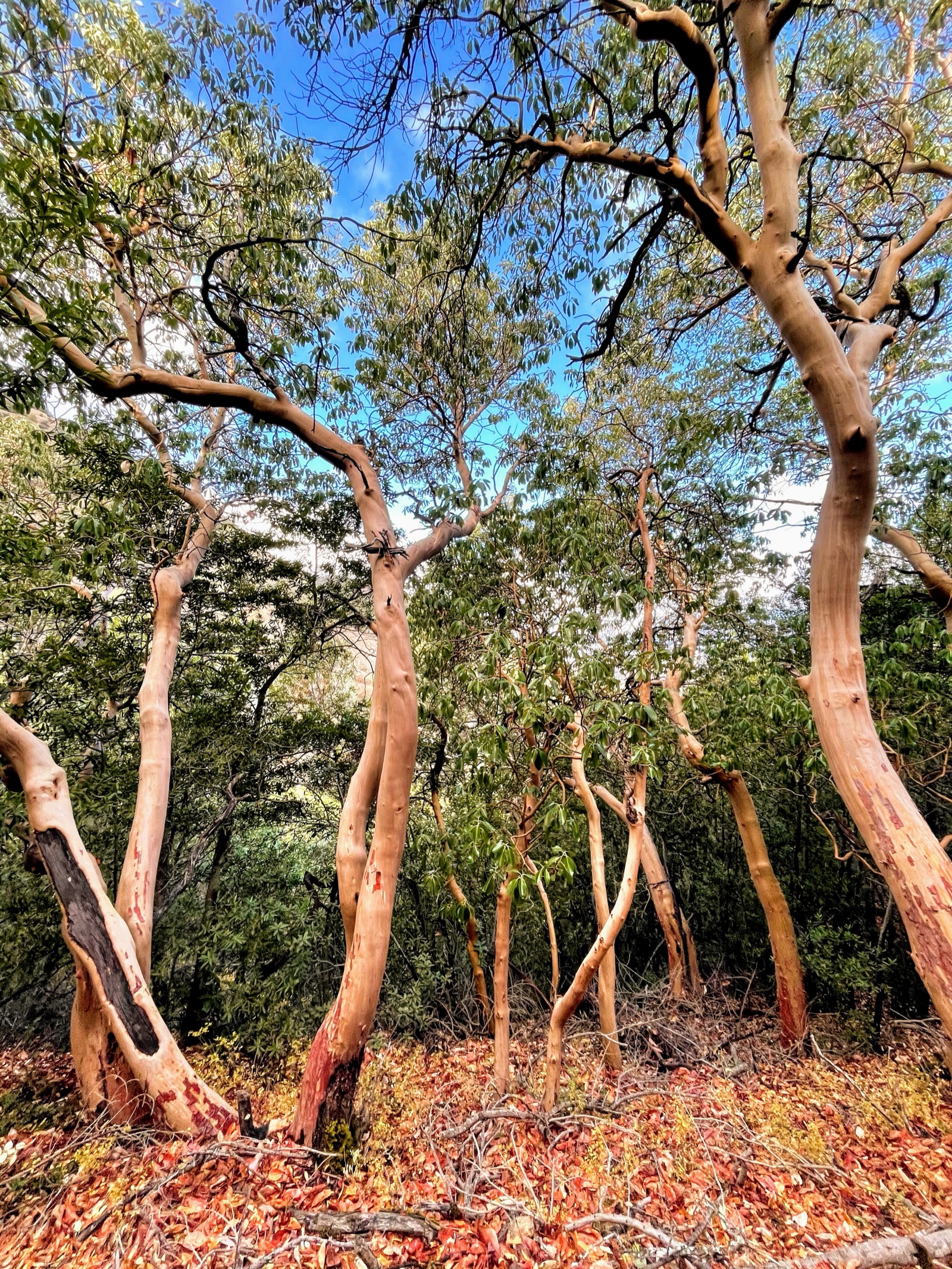 Segment 55, photo 16