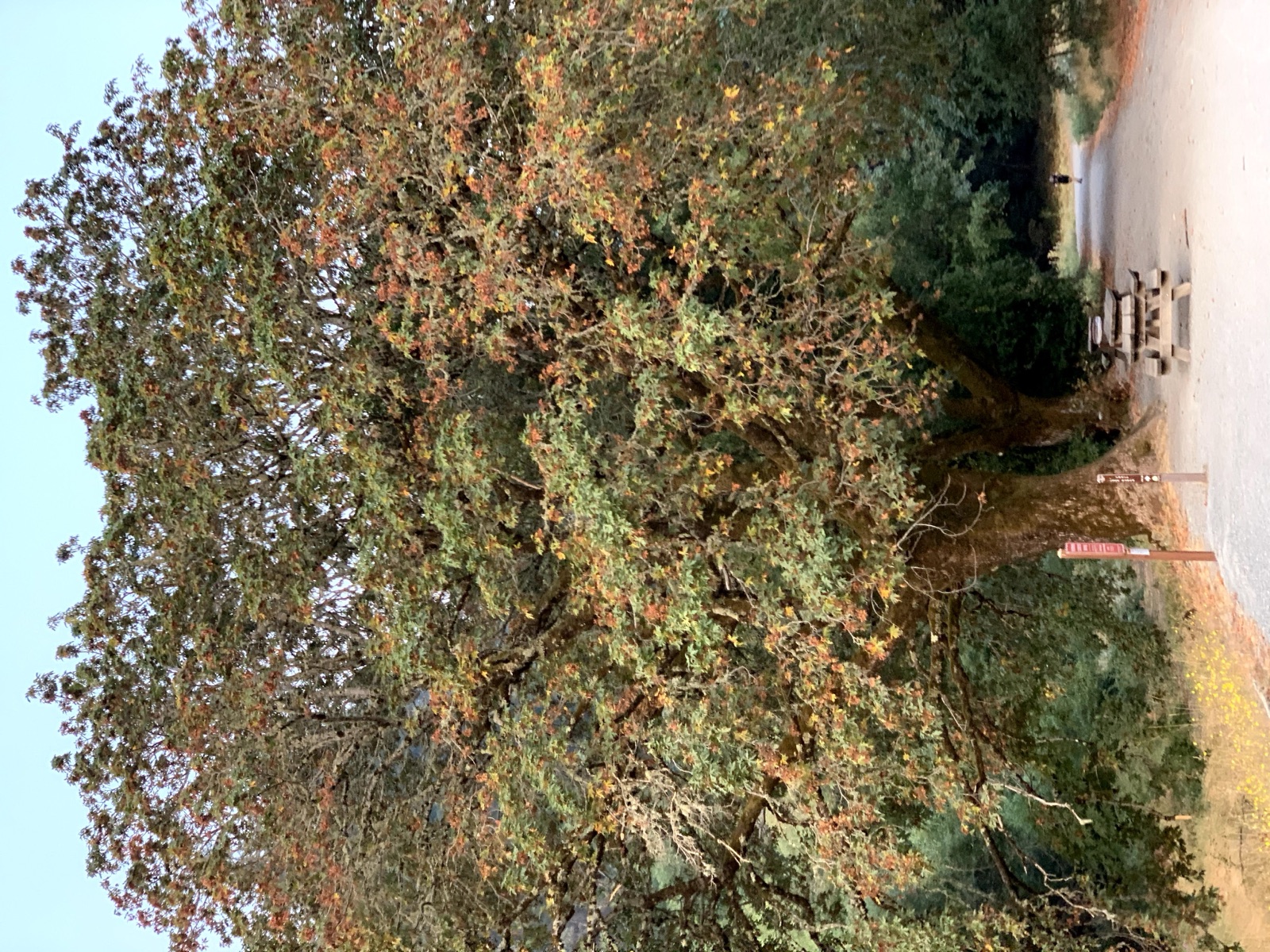 Segment 57, photo 3