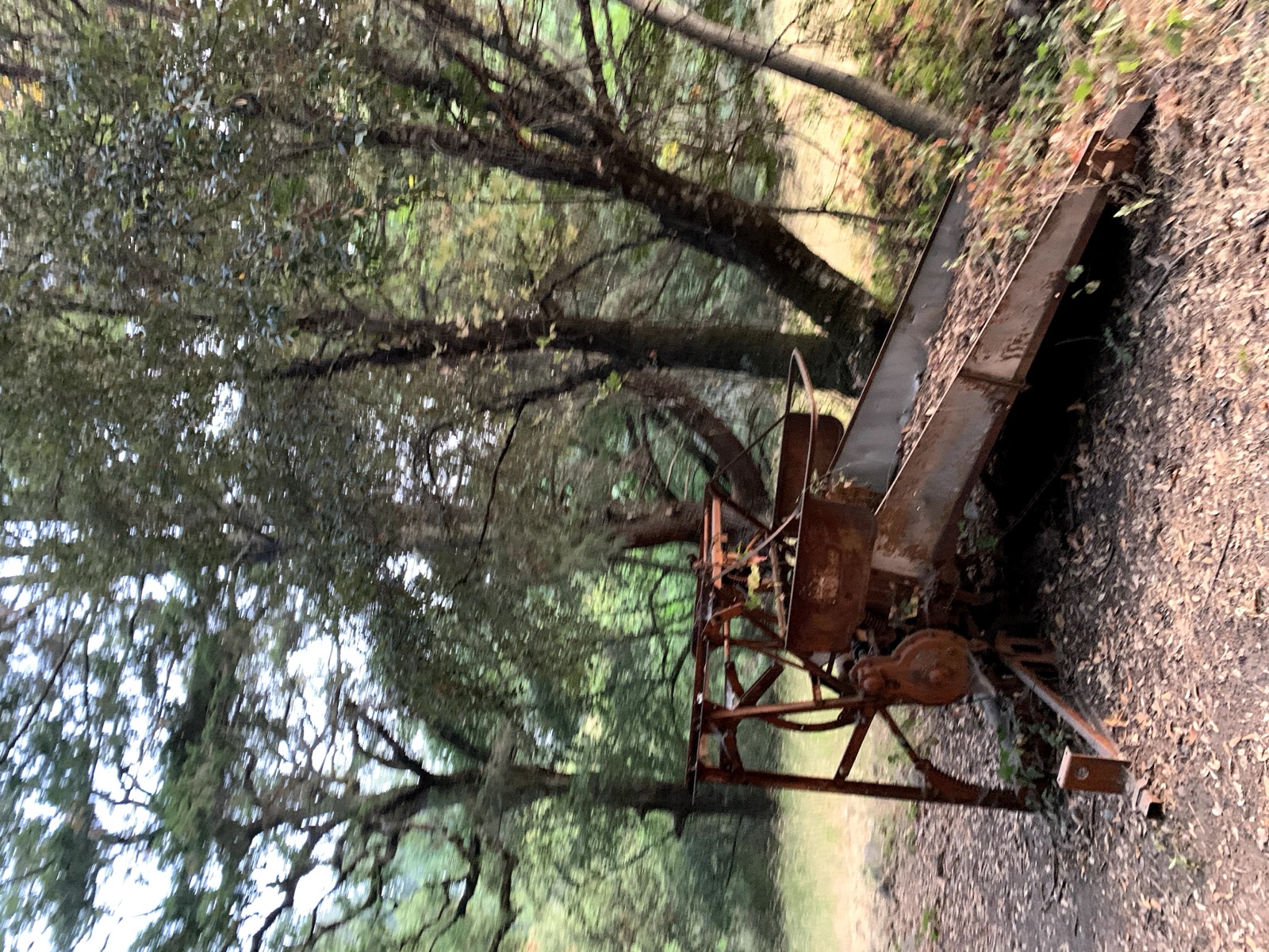 Segment 57, photo 6