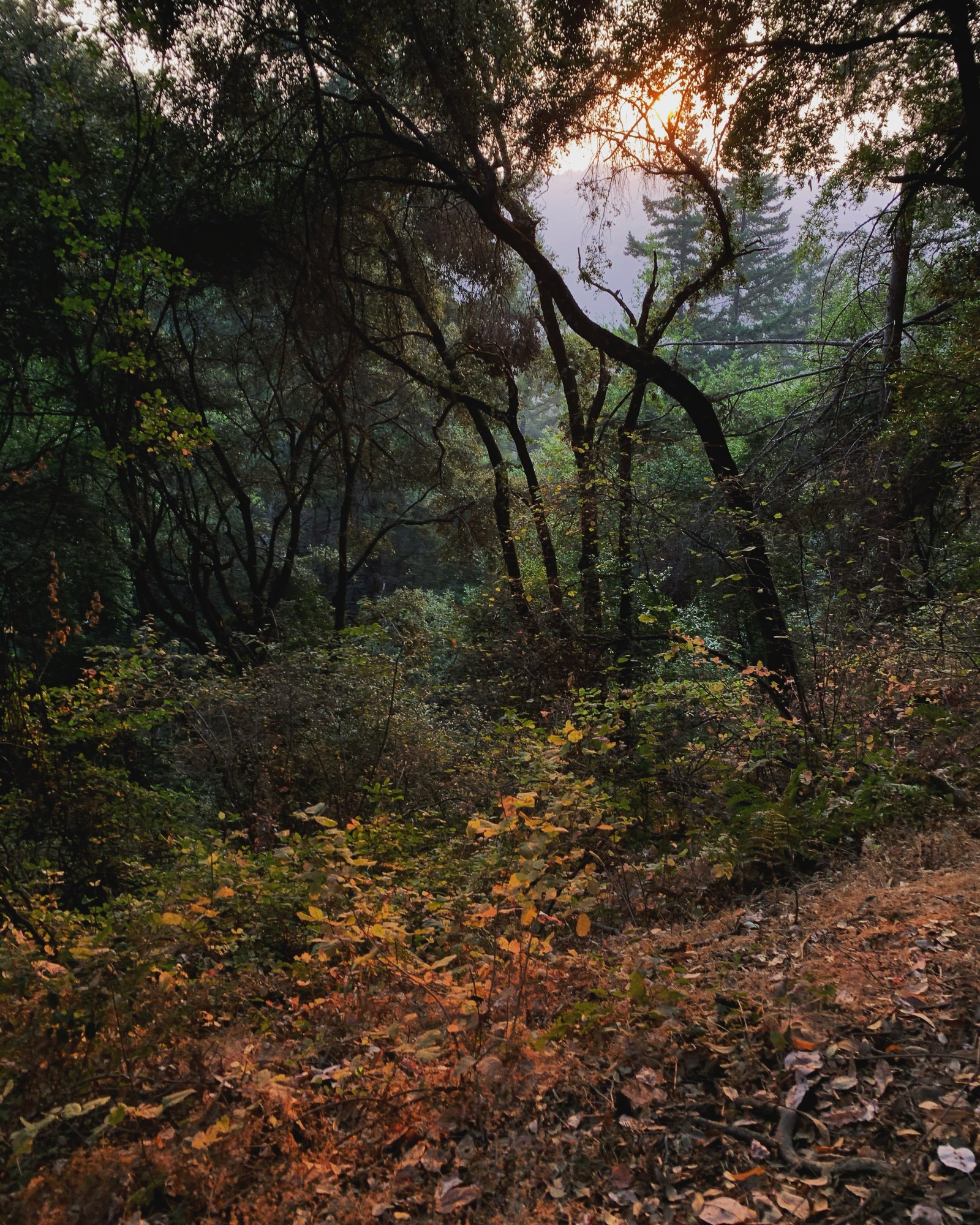 Segment 57, photo 7