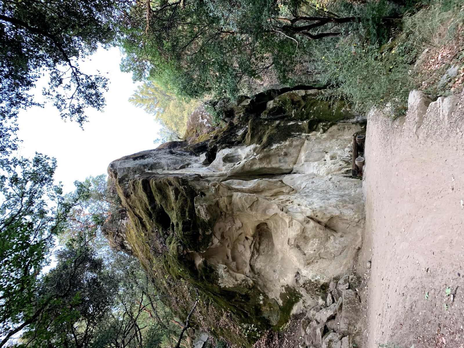 Segment 57, photo 8