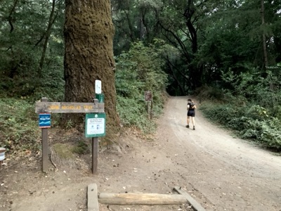 Segment 57 photo 1