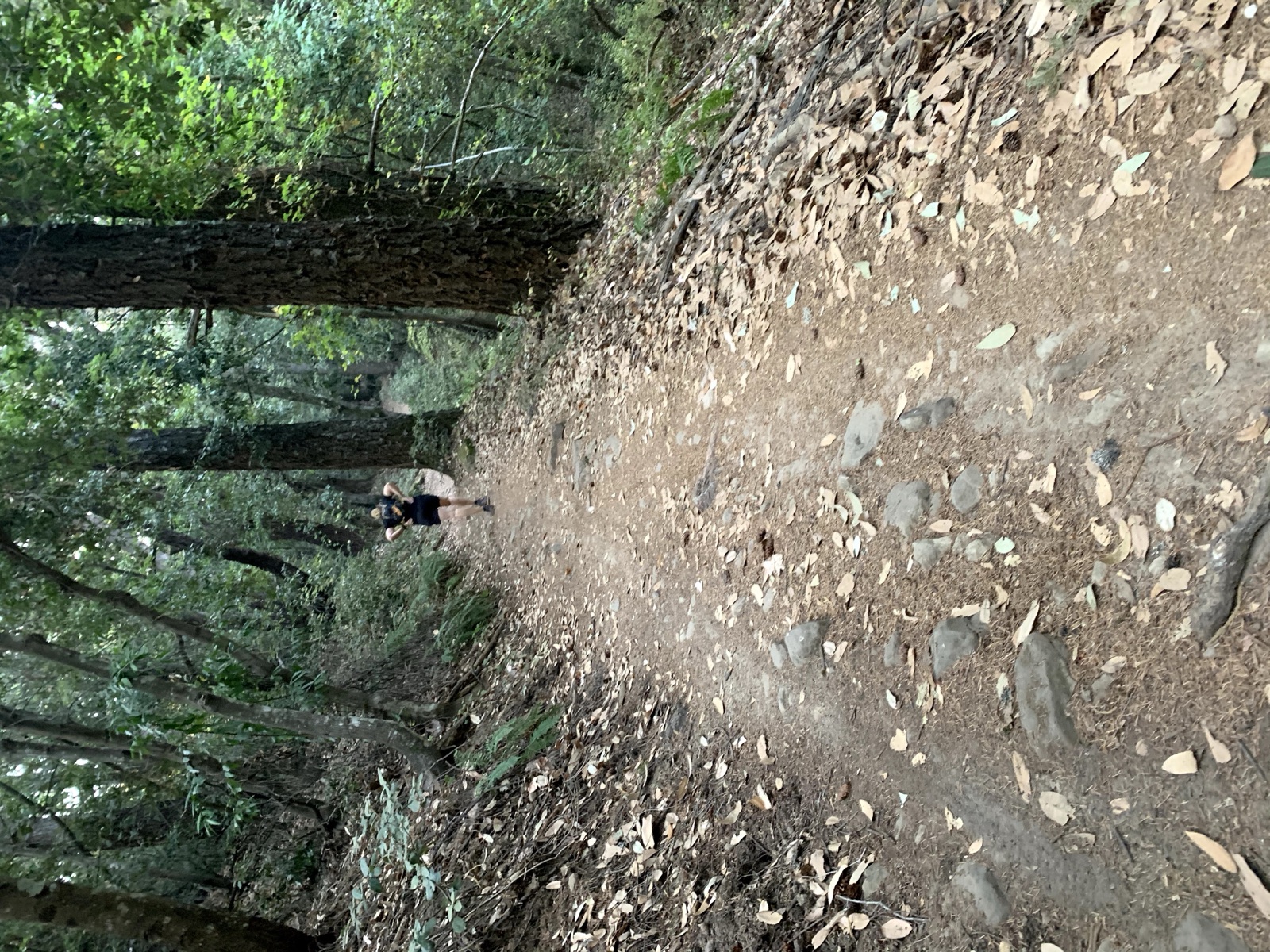 Segment 58, photo 4