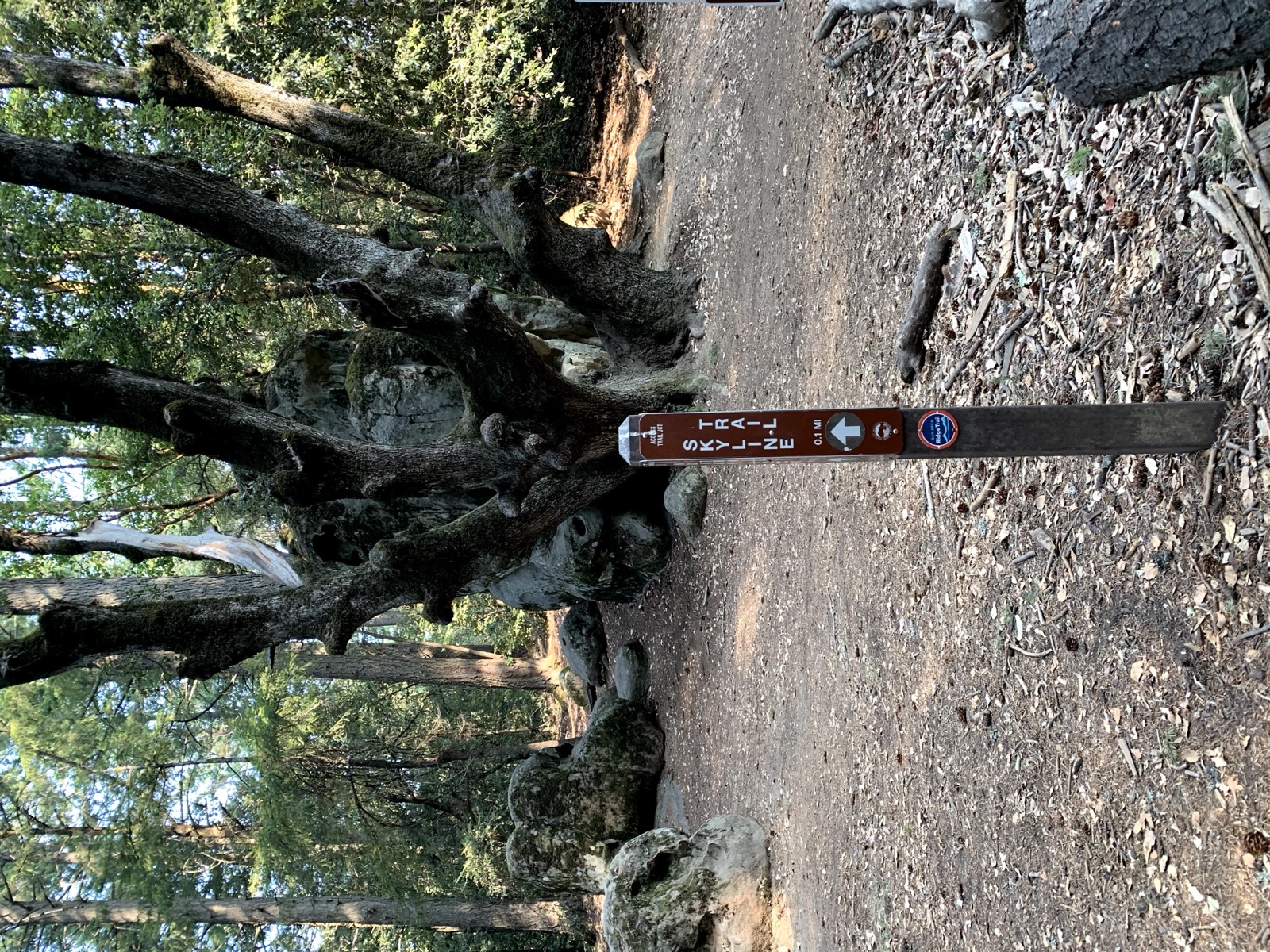 Segment 58, photo 6